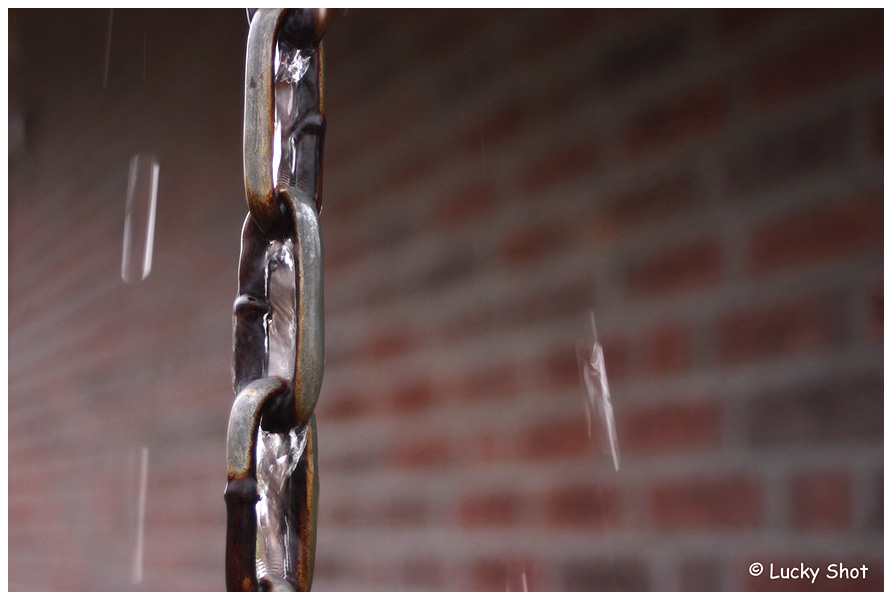 Foto gemaakt door een cursist van KOM FOTOGRAFEREN