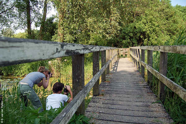 Foto gemaakt door een cursist van KOM FOTOGRAFEREN