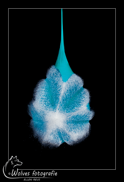 High speed fotografie - creatieve fotografie - Door: Ellen Reus - Wolves fotografie