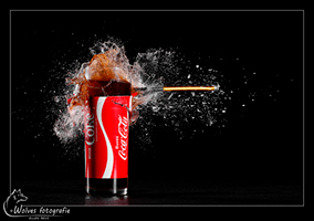 High speed fotografie - creatieve fotografie - Door: Ellen Reus - Wolves fotografie