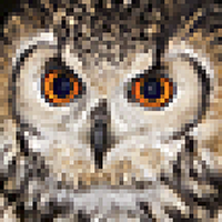 Zichtbare pixels