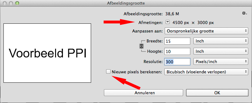 Voorbeeld-PPI-1