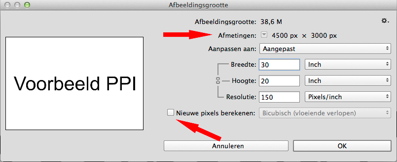 Voorbeeld-PPI-2