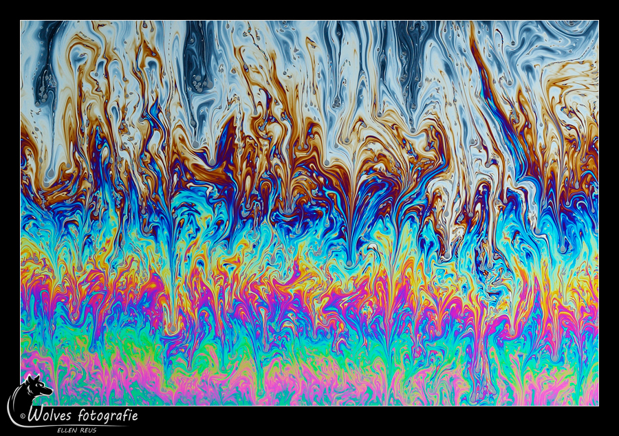 Zeepvlies - zeepvliesfotografie - creatieve fotografie - Door: Ellen Reus - Wolves fotografie