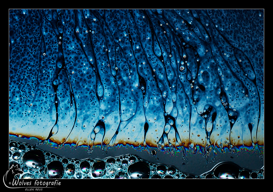 Zeepvlies - zeepvliesfotografie - creatieve fotografie - Door: Ellen Reus - Wolves fotografie
