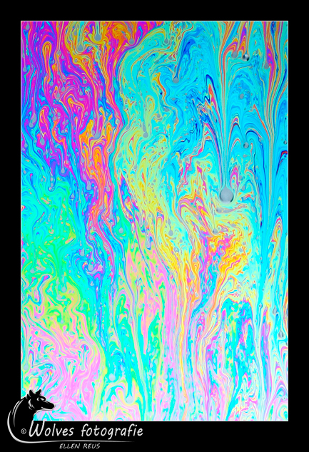 Zeepvlies - zeepvliesfotografie - creatieve fotografie - Door: Ellen Reus - Wolves fotografie
