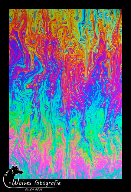 Zeepvlies - zeepvliesfotografie - creatieve fotografie - Door: Ellen Reus - Wolves fotografie