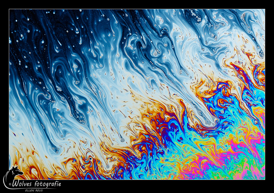 Zeepvlies - zeepvliesfotografie - creatieve fotografie - Door: Ellen Reus - Wolves fotografie