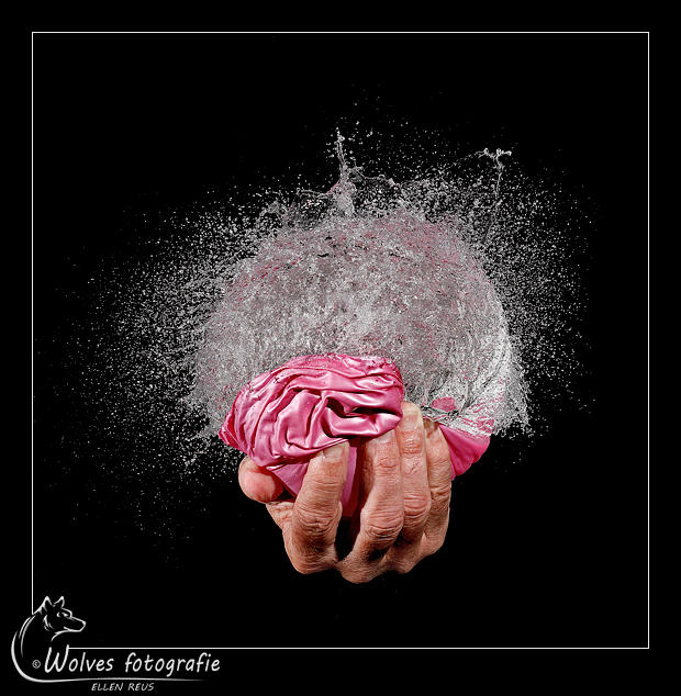 High speed fotografie - creatieve fotografie - Door: Ellen Reus - Wolves fotografie