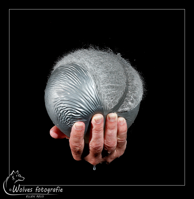 High speed fotografie - creatieve fotografie - Door: Ellen Reus - Wolves fotografie