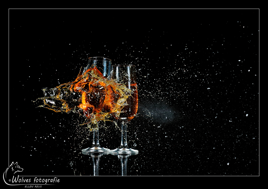 High speed fotografie - creatieve fotografie - Door: Ellen Reus - Wolves fotografie