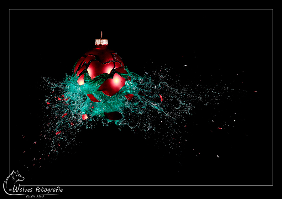 High speed fotografie - creatieve fotografie - Door: Ellen Reus - Wolves fotografie