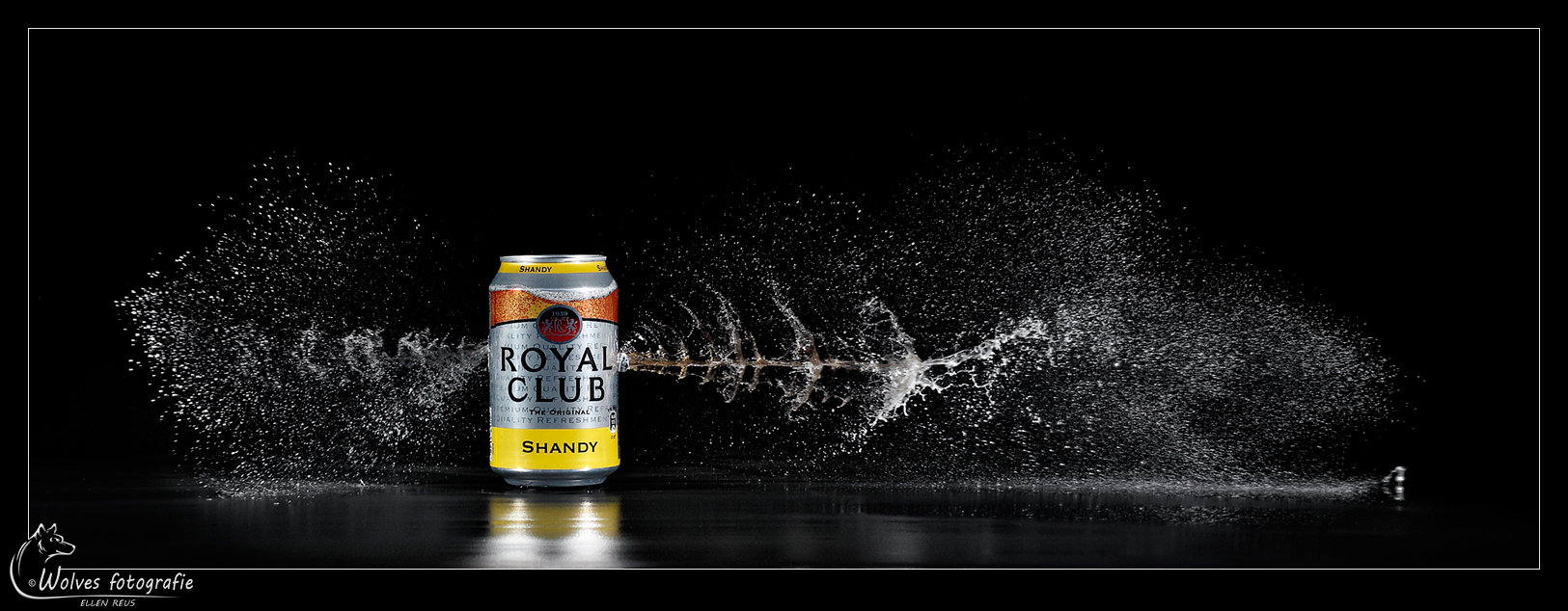 High speed fotografie - creatieve fotografie - Door: Ellen Reus - Wolves fotografie