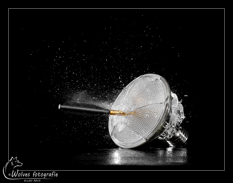 High speed fotografie - creatieve fotografie - Door: Ellen Reus - Wolves fotografie