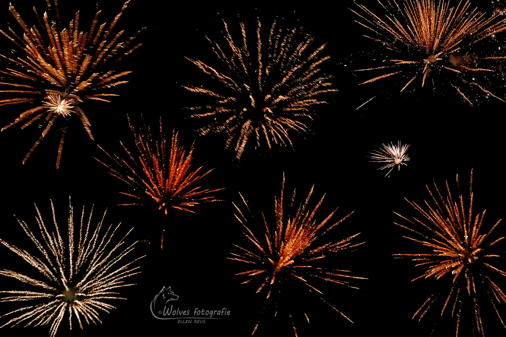 Vuurwerk compilatie - vuurwerkfotografie - Door: Ellen Reus - Wolves fotografie