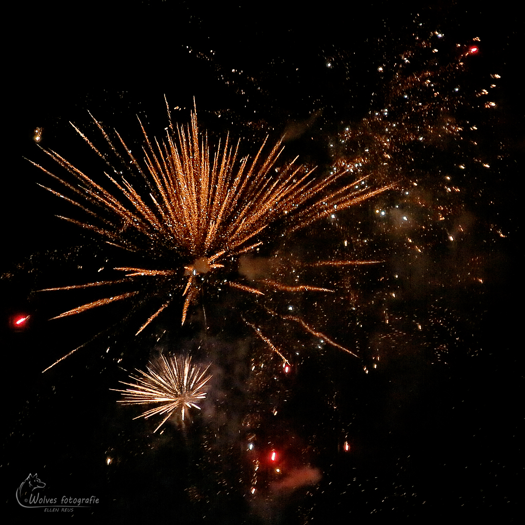 Vuurwerk - vuurwerkfotografie - Door: Ellen Reus - Wolves fotografie